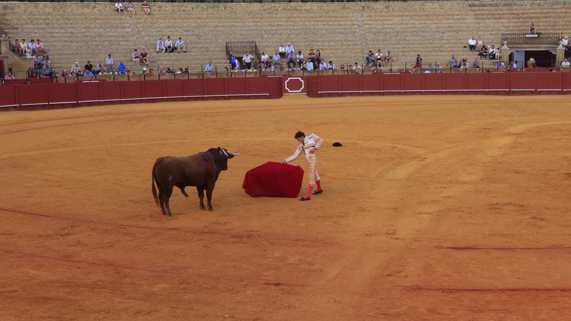 西班牙斗牛表演实拍视频视频的预览图
