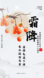 淡雅中国风霜降节气视频海报视频的预览图