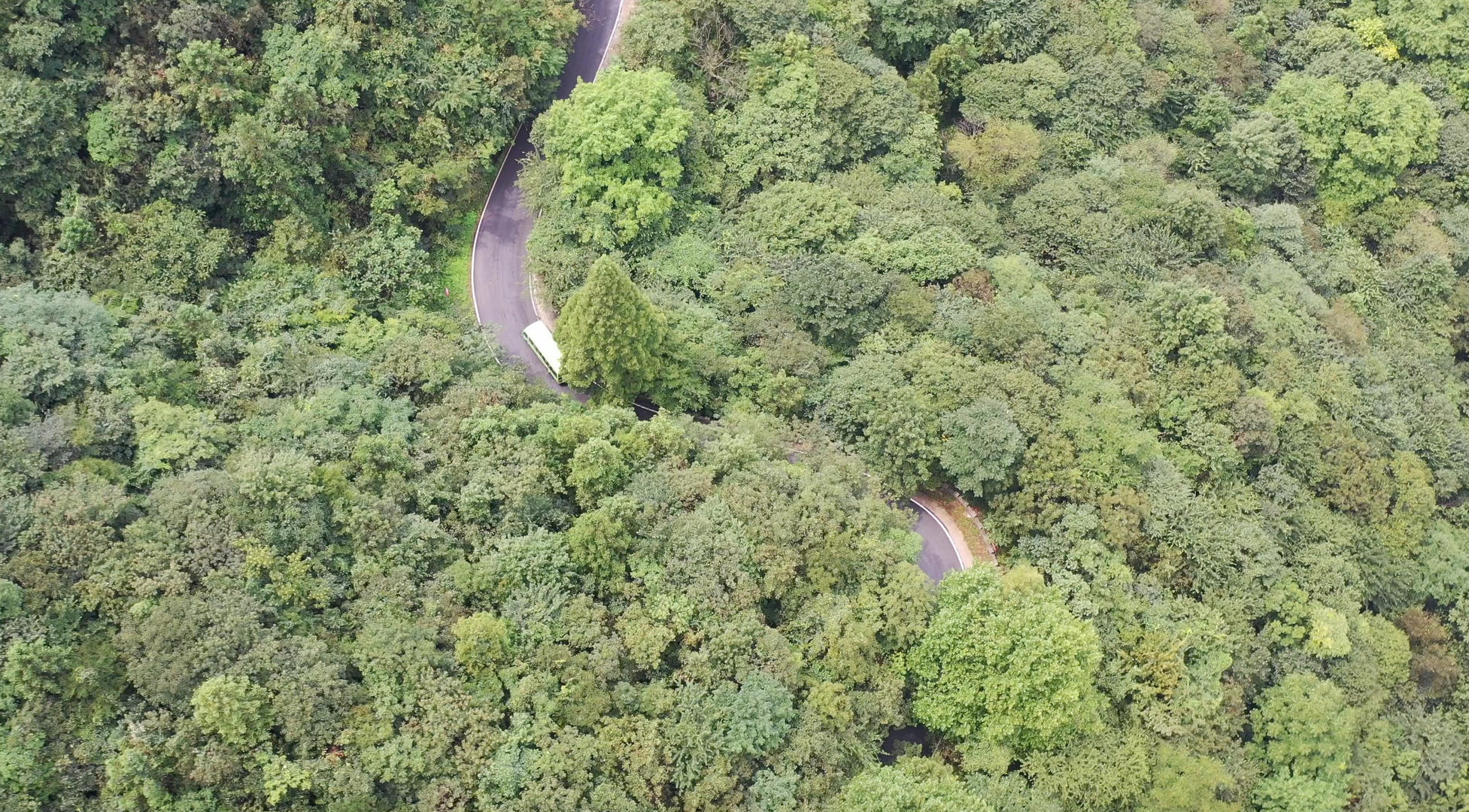 航拍森林中的公路4K视频视频的预览图