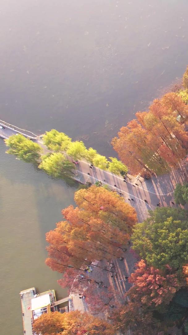 秋季航拍城市秋季自然风光公园绿道湖景素材视频的预览图