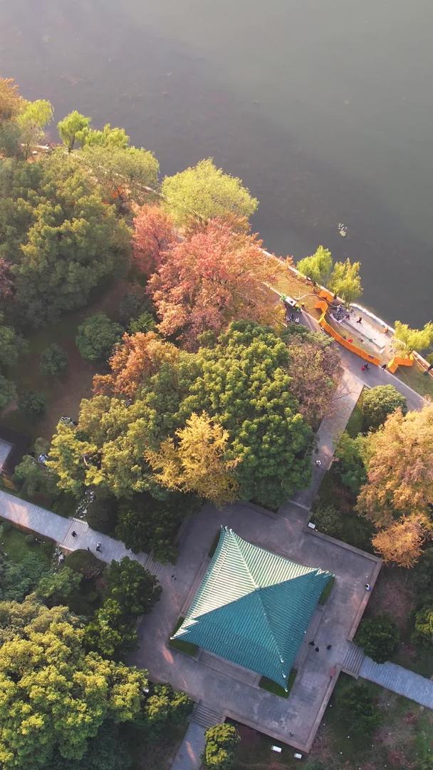 秋季航拍城市秋季自然风光公园绿道湖景素材视频的预览图
