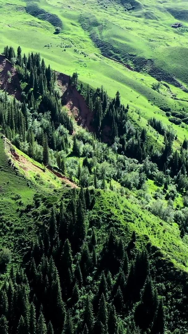 新疆奇台江布拉克草原自然美景旅游视频的预览图