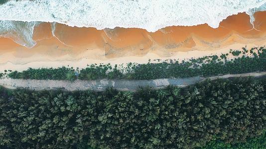海南万宁日月湾海滨椰林公路4K航拍视频的预览图