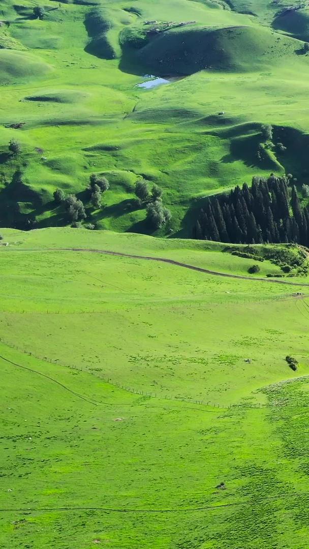 新疆自然美景、自然地貌、草原、草原视频的预览图