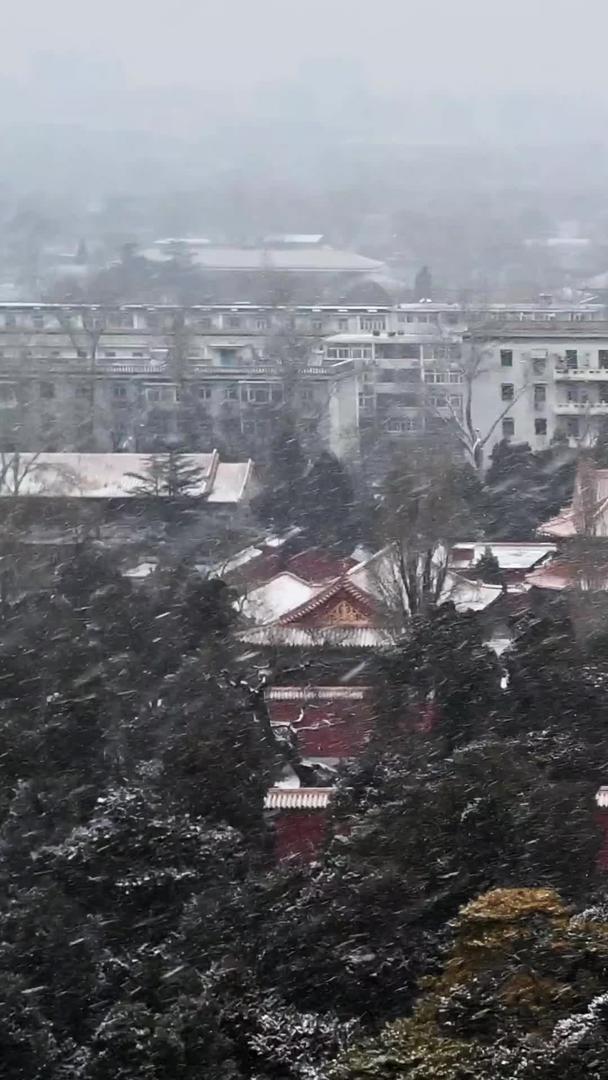 下雪的北京寿皇殿公园视频的预览图
