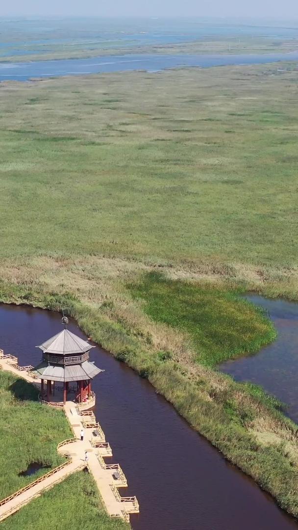 山东省黄河口国家湿地航拍视频视频的预览图