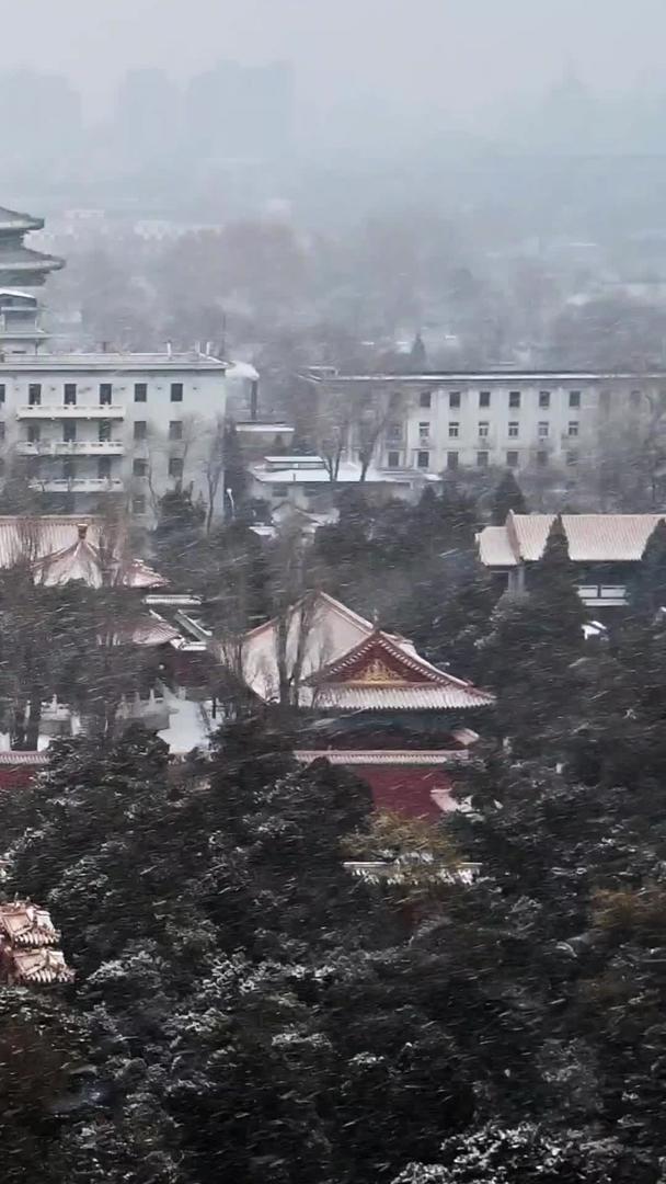 下雪的北京寿皇殿公园视频的预览图