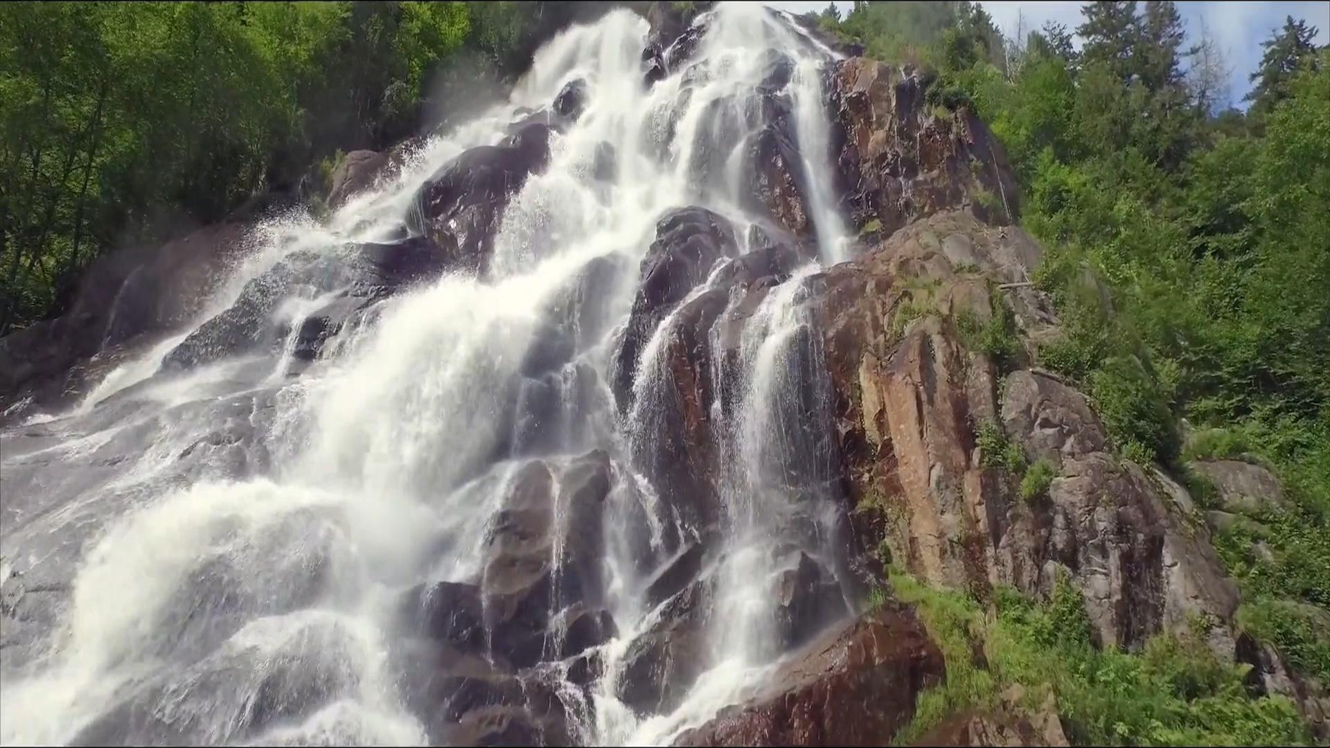 山林瀑布视频的预览图