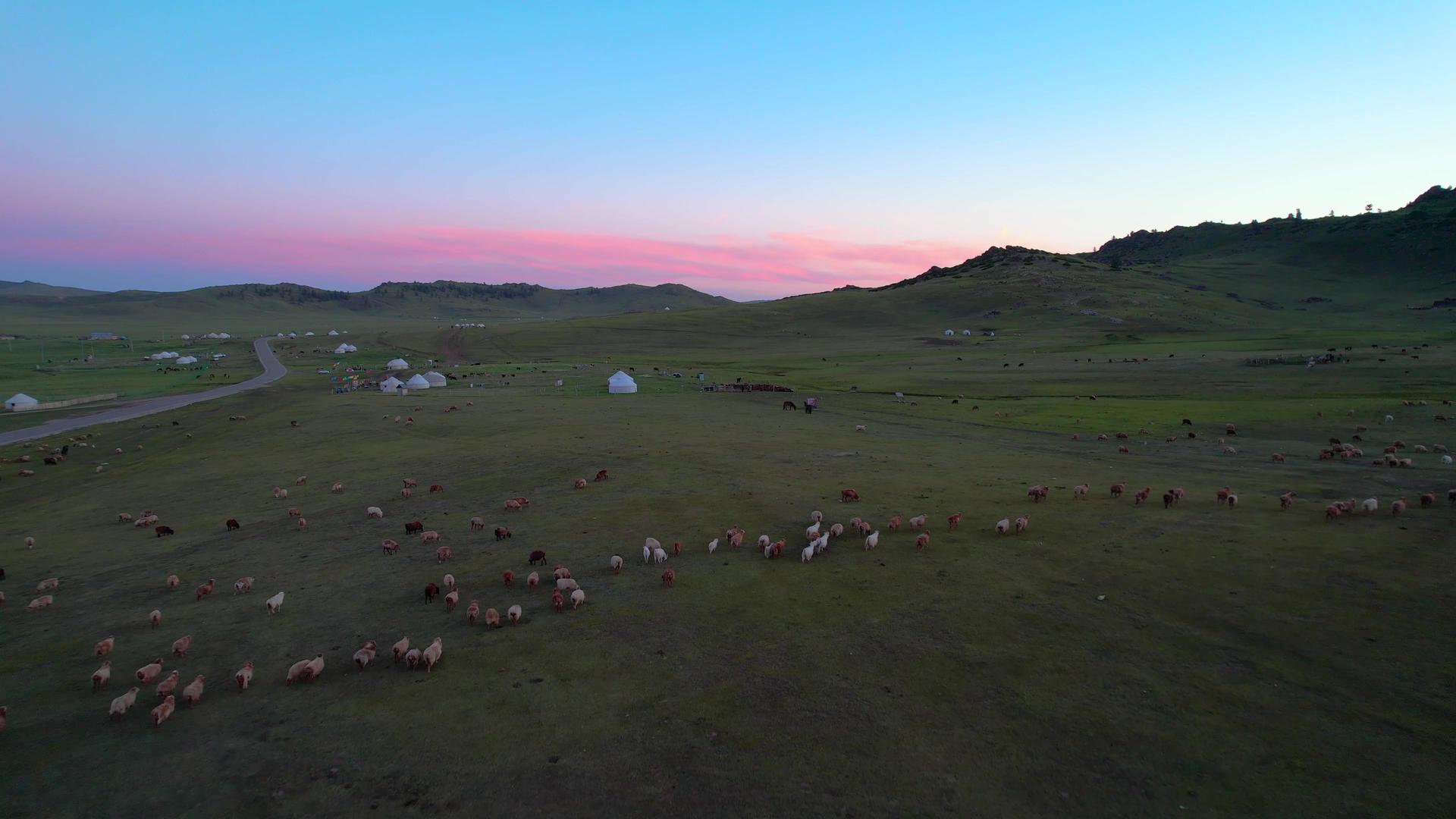 航拍日落下阿勒泰那仁大草原与牧归羊群视频视频的预览图