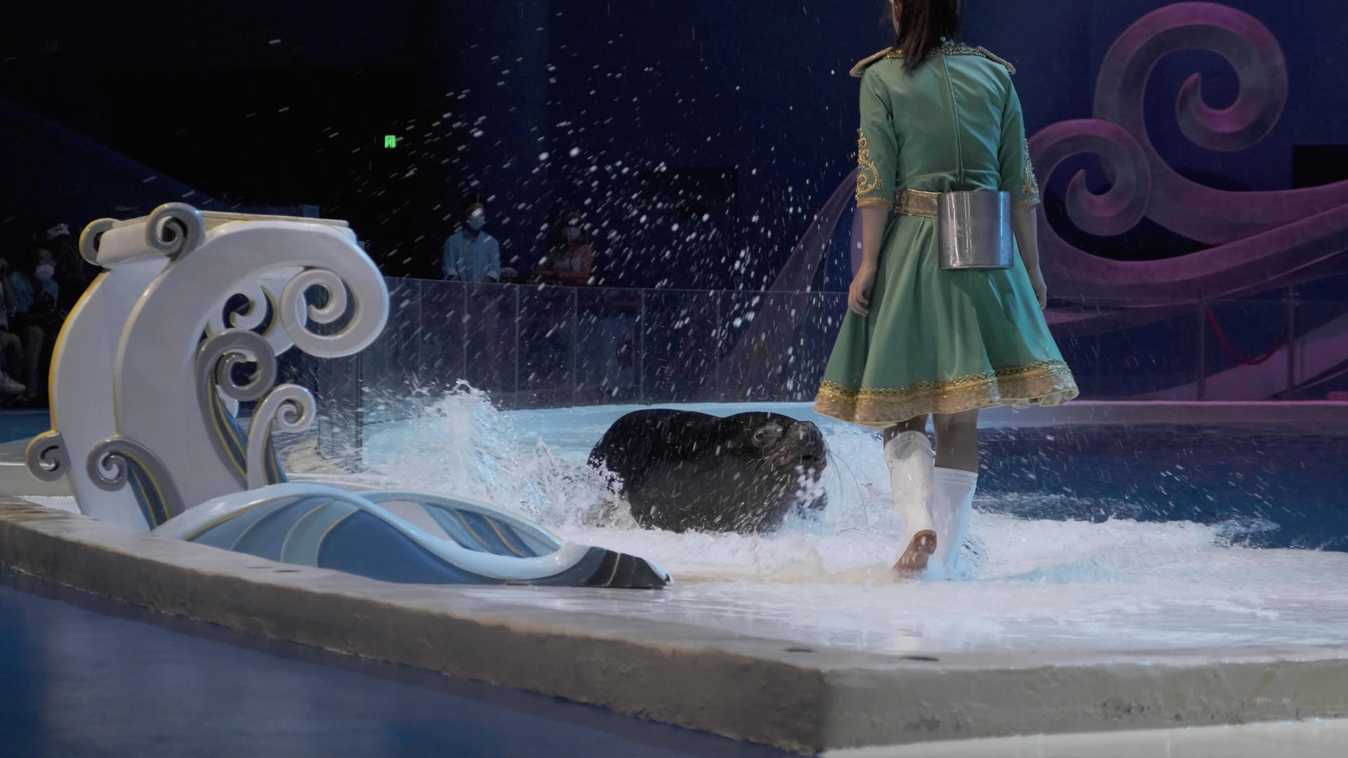 4k实拍水族馆海狮表演视频的预览图