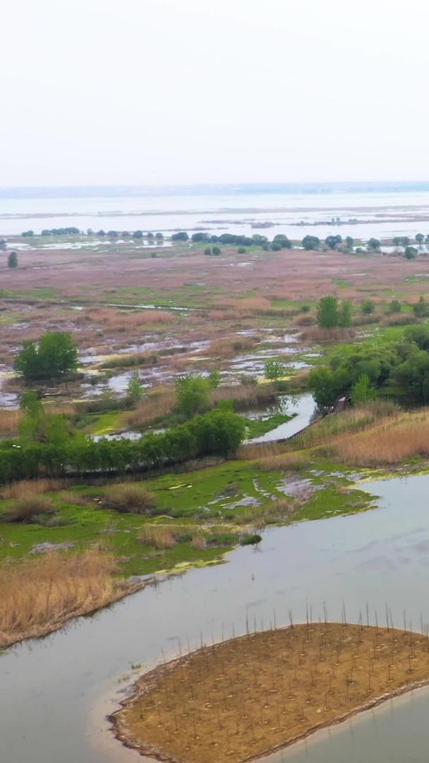 航拍5A景区洪泽湖湿地自然保护区水生植物园视频视频的预览图