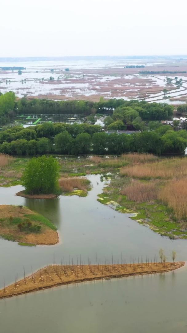 航拍5A景区洪泽湖湿地自然保护区水生植物园视频视频的预览图