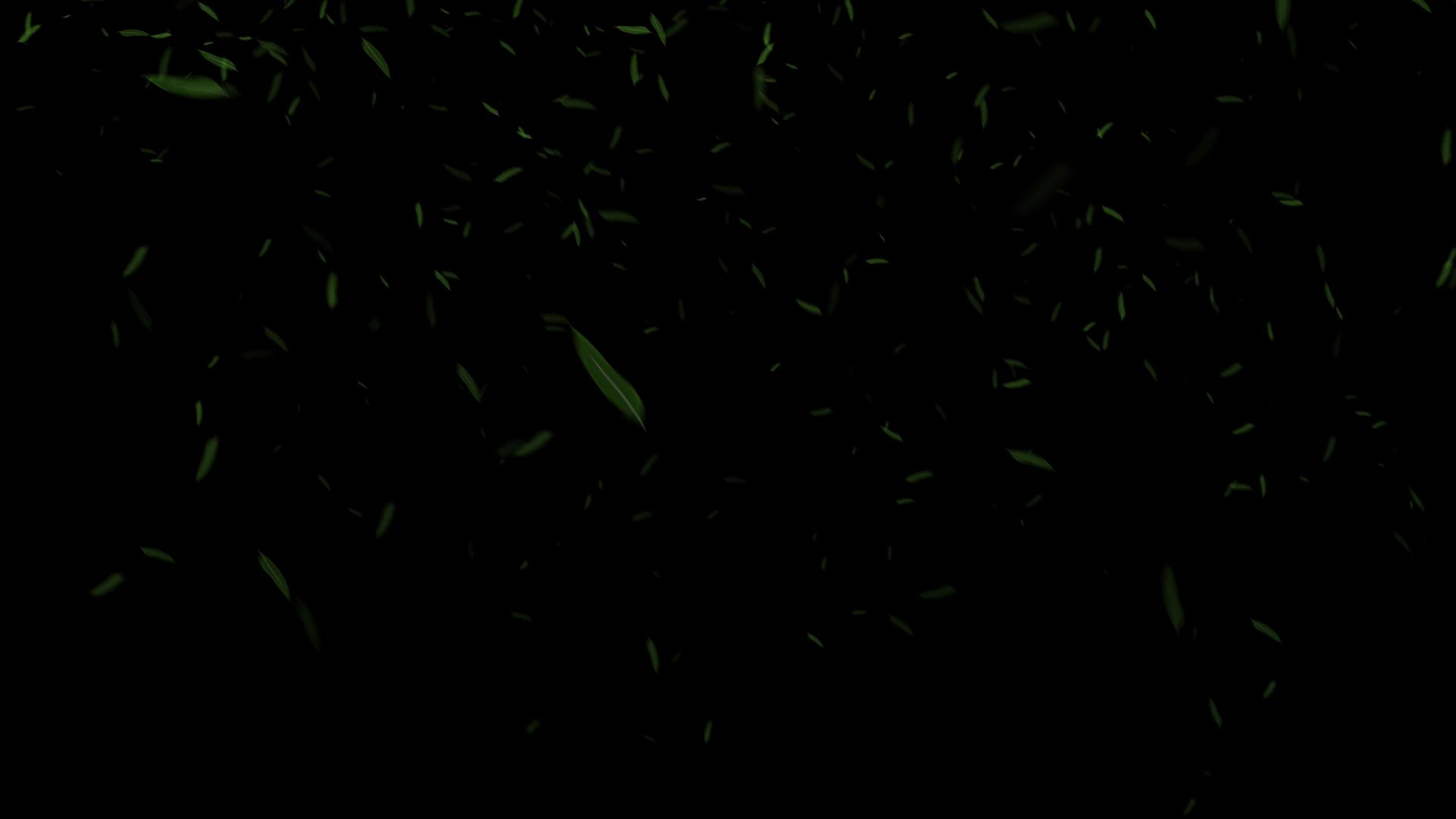 4K竹叶飘散飘落视频的预览图