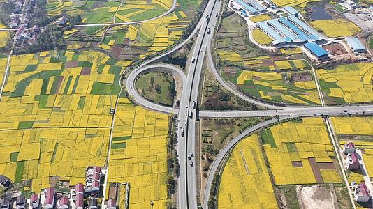 陕西汉中京昆高速立交桥及油菜花视频的预览图