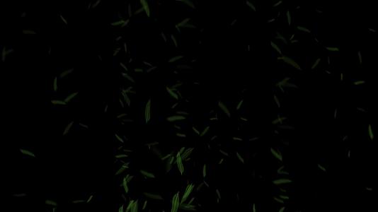 4K绿叶竹叶意境视频的预览图