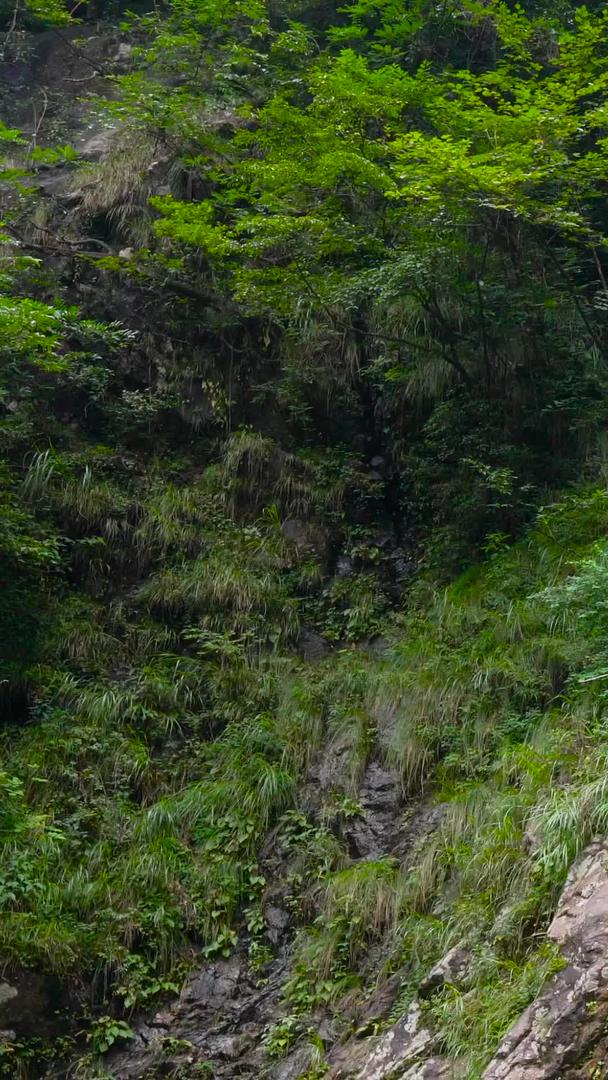 明月山瀑布山泉5A景区实拍集合视频的预览图