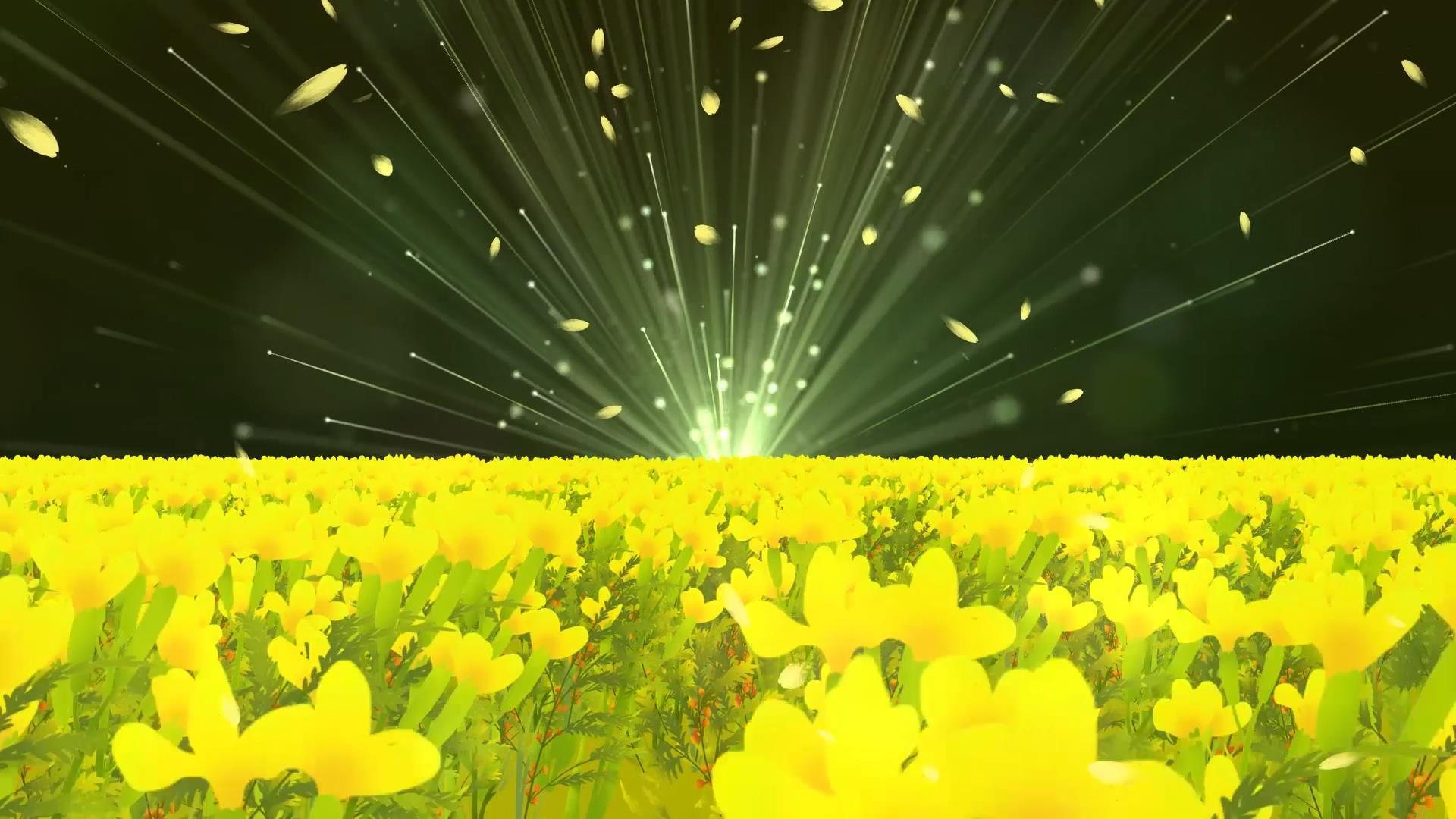 唯美动态黄色花海粒子光效散发舞台背景视频视频的预览图