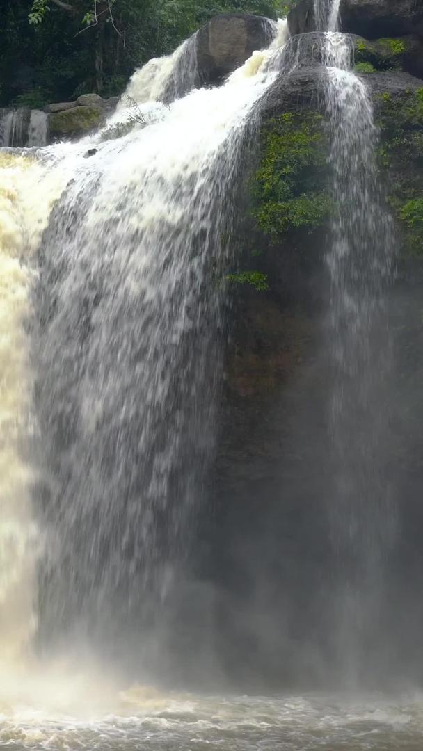 森林深处瀑布实拍集含声音视频的预览图