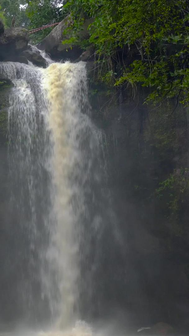 森林深处瀑布实拍集含声音视频的预览图