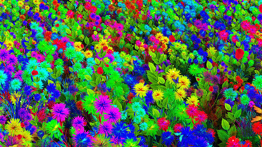 4K唯美的七彩鲜花背景素材视频的预览图