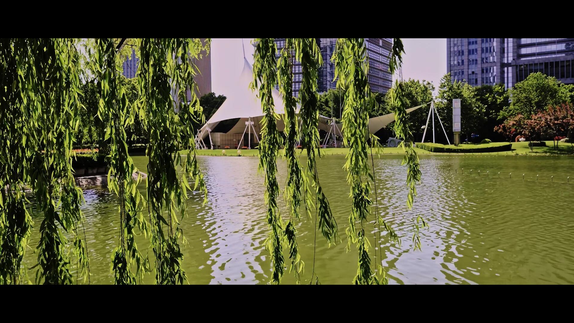 上海陆家嘴中央公园视频的预览图