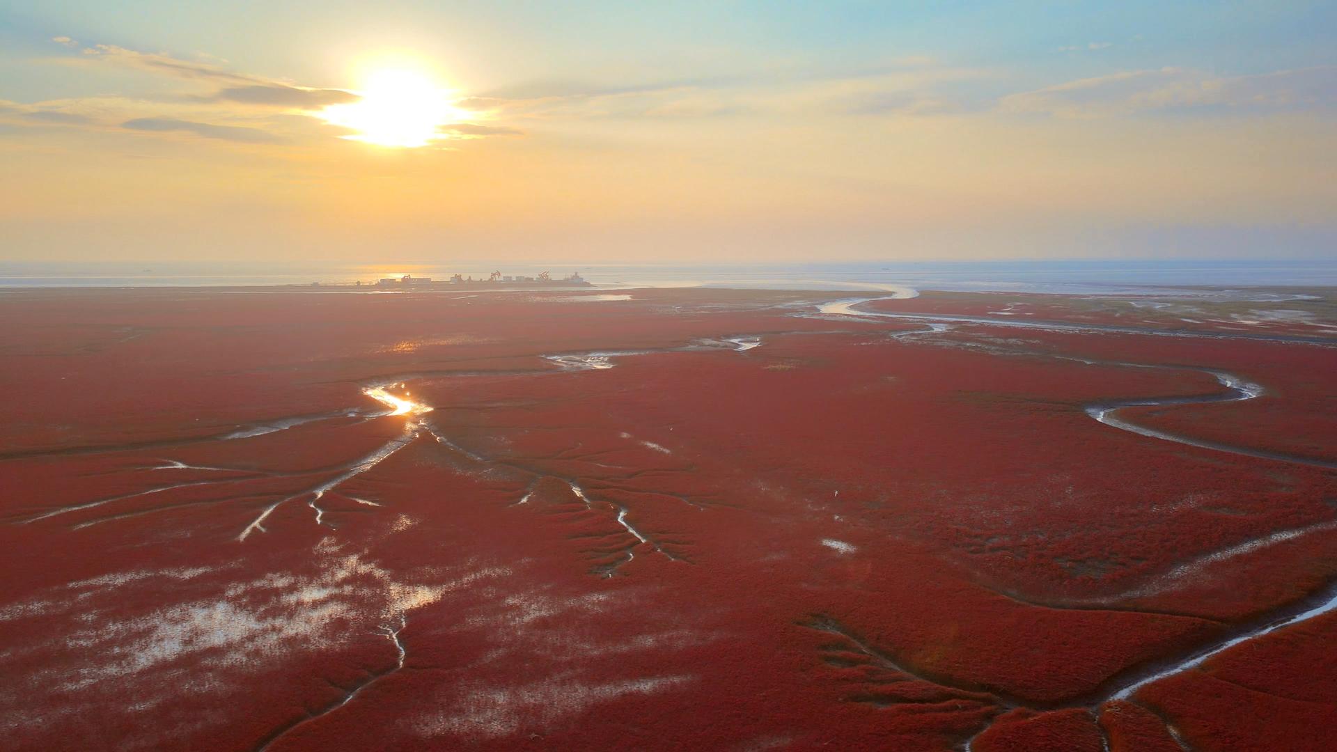 4K红海滩国家风景廊道湿地5A级风景区落日夕阳云层视频的预览图