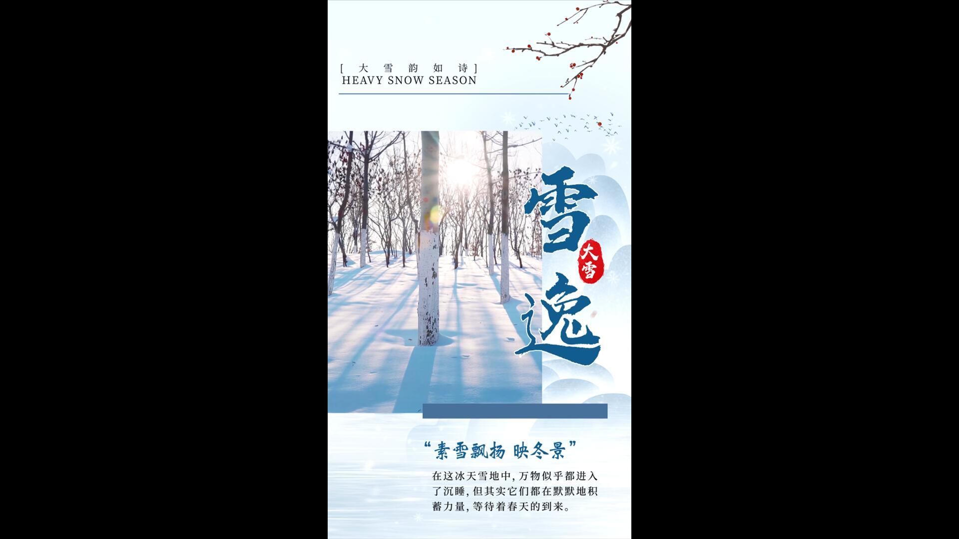 简洁美观大雪节气竖版图文AE模板视频的预览图