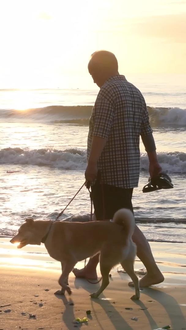 老人在海边遛狗视频的预览图