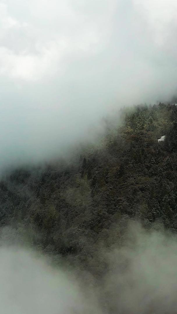 航拍云雾山林穿云材料视频的预览图