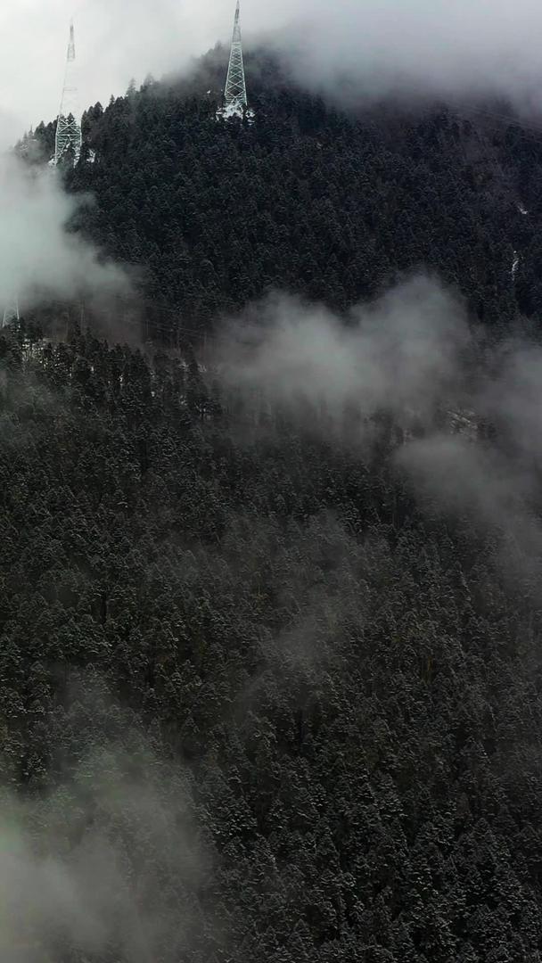 航拍云雾山林穿云材料视频的预览图