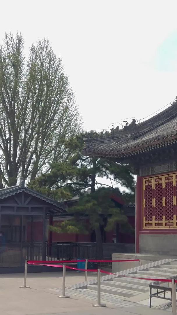 参观北京颐和园入口的游客视频的预览图