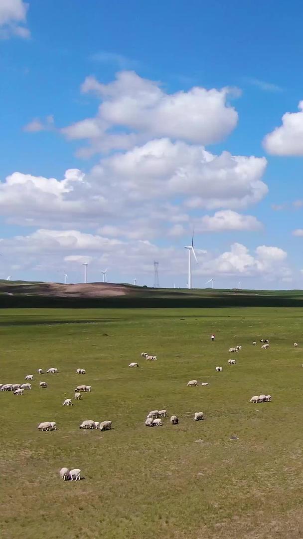 航拍羊群吃草视频的预览图