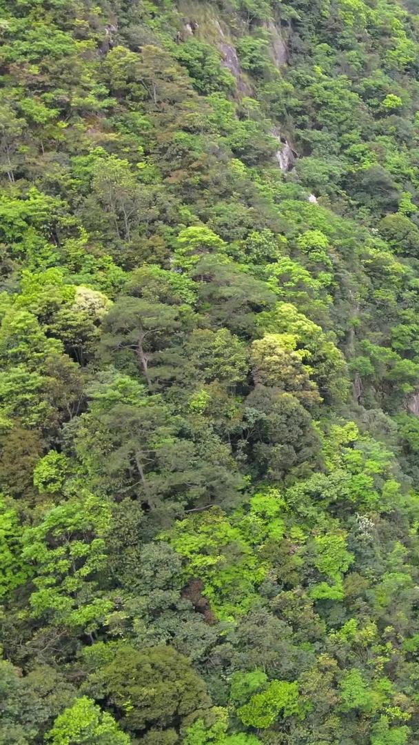 浙江省龙泉市白云岩峡谷瀑布航拍视频的预览图