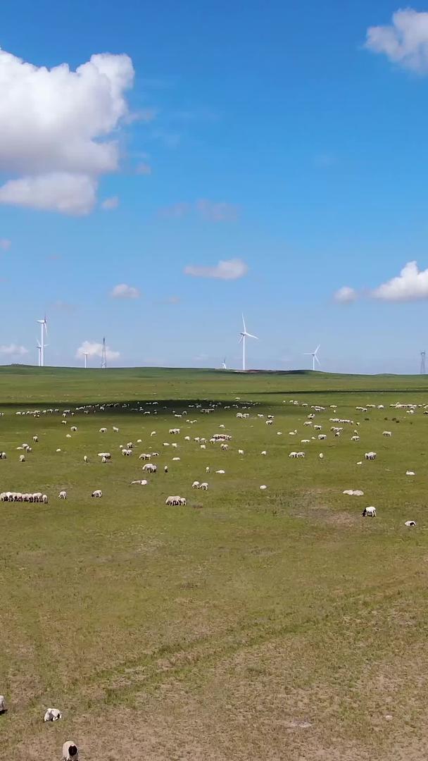 航拍羊群吃草视频的预览图