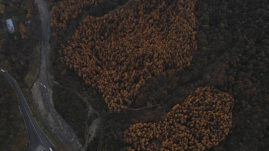 空中拍摄四川光雾山视频的预览图