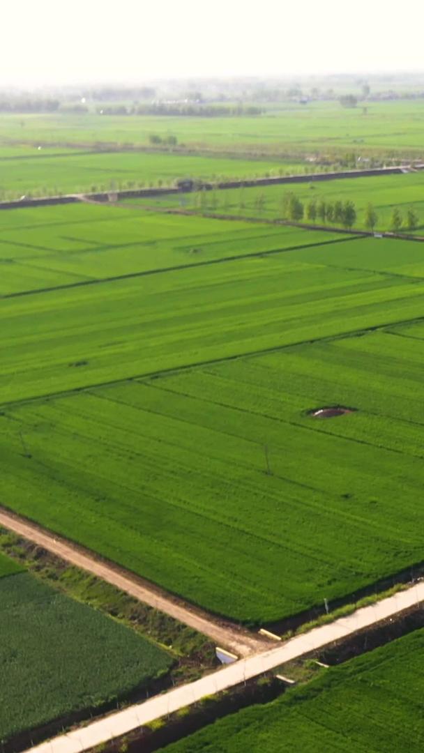 农田种植航拍视频视频的预览图