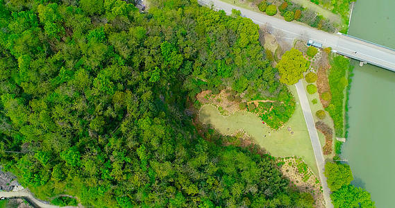 春季森林公园航拍视频的预览图