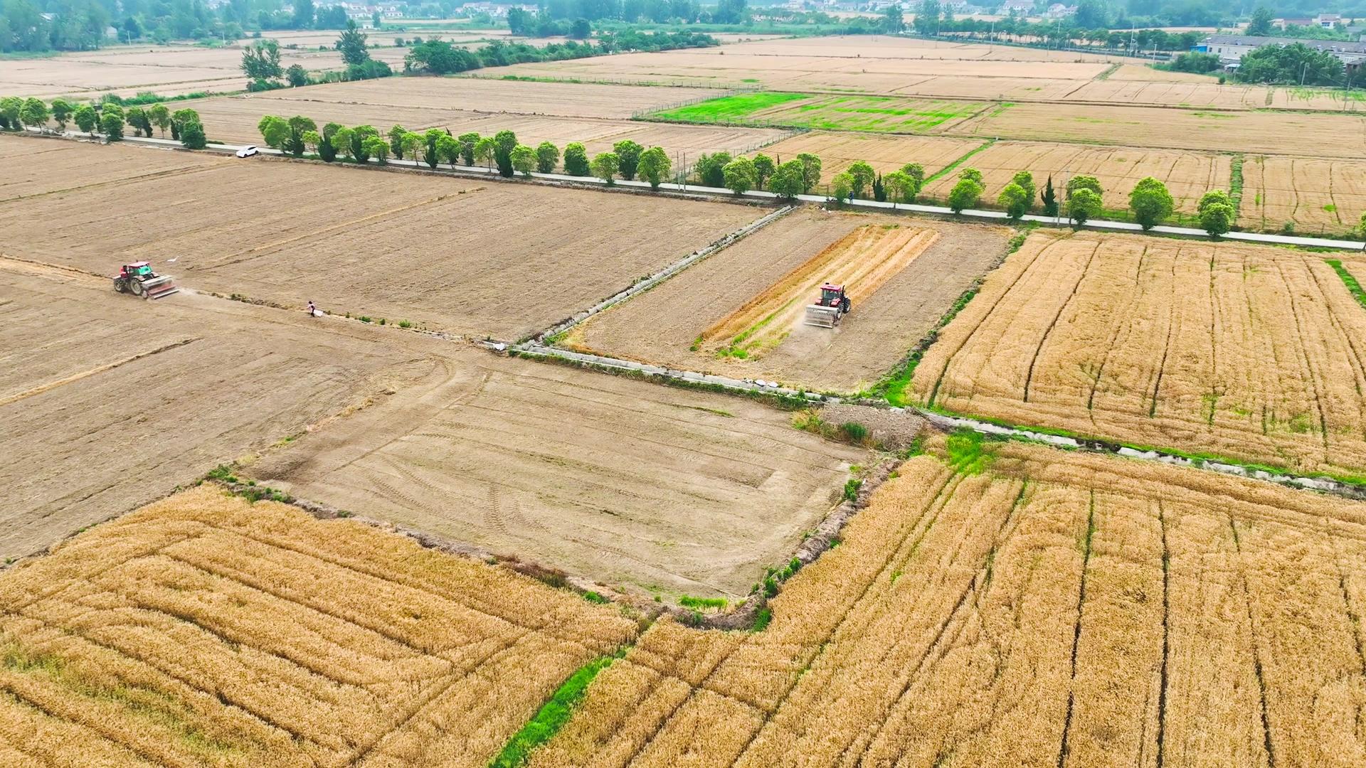 4K航拍农业丰收耕地机械化农业视频的预览图