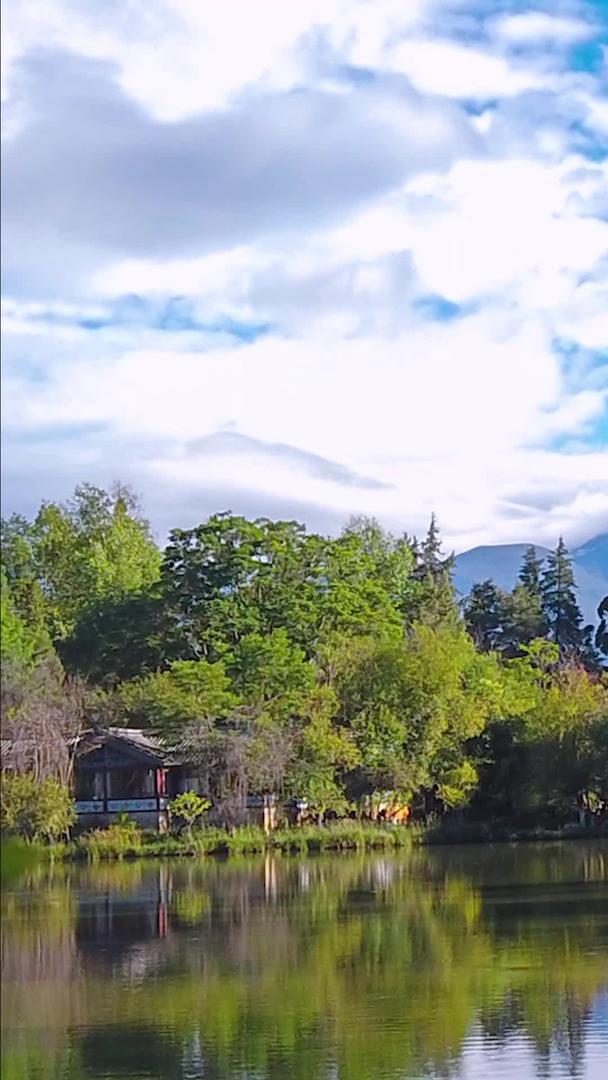 日照金山云南丽江黑龙潭公园视频的预览图