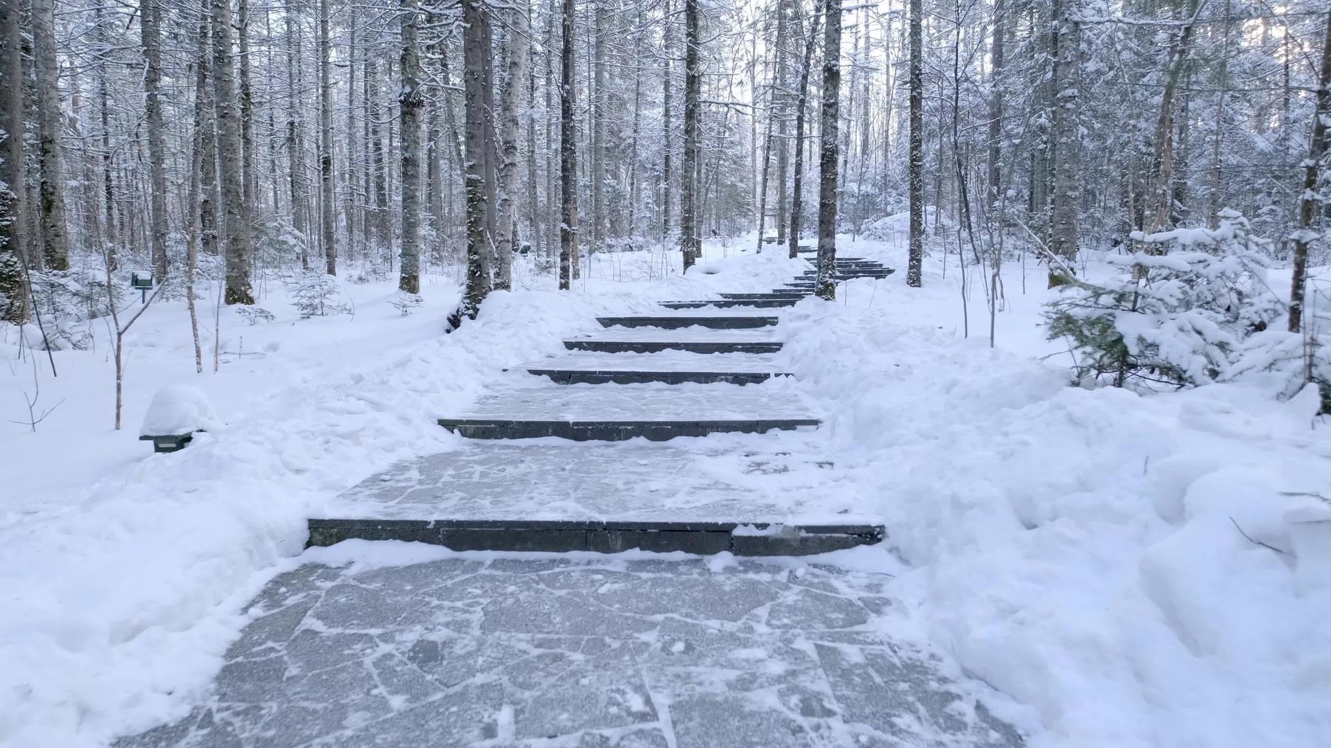 冬季雪松石景区伊春5A景点汤旺河林海奇石视频的预览图