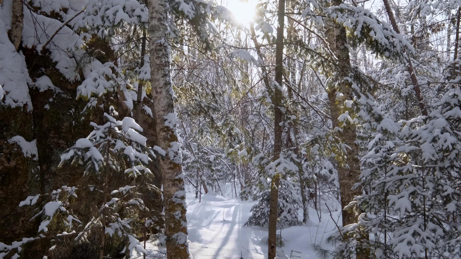 冬季雪松石景区伊春5A景点汤旺河林海奇石视频的预览图
