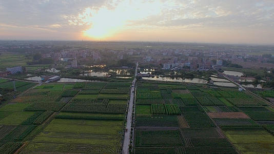 夕阳下的农村大片种植用地4K航拍视频的预览图
