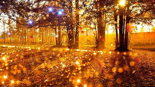 4K美丽的秋叶背景视频的预览图