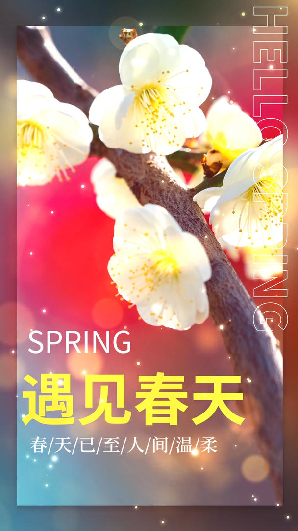 春暖花开春游宣传视频海报视频的预览图