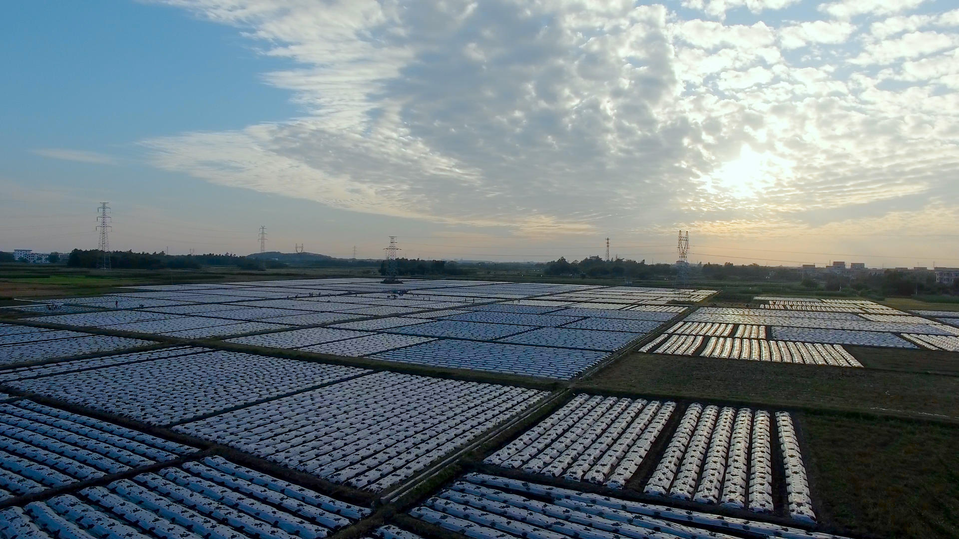 夕阳下大片现代农业种植4K航拍视频的预览图