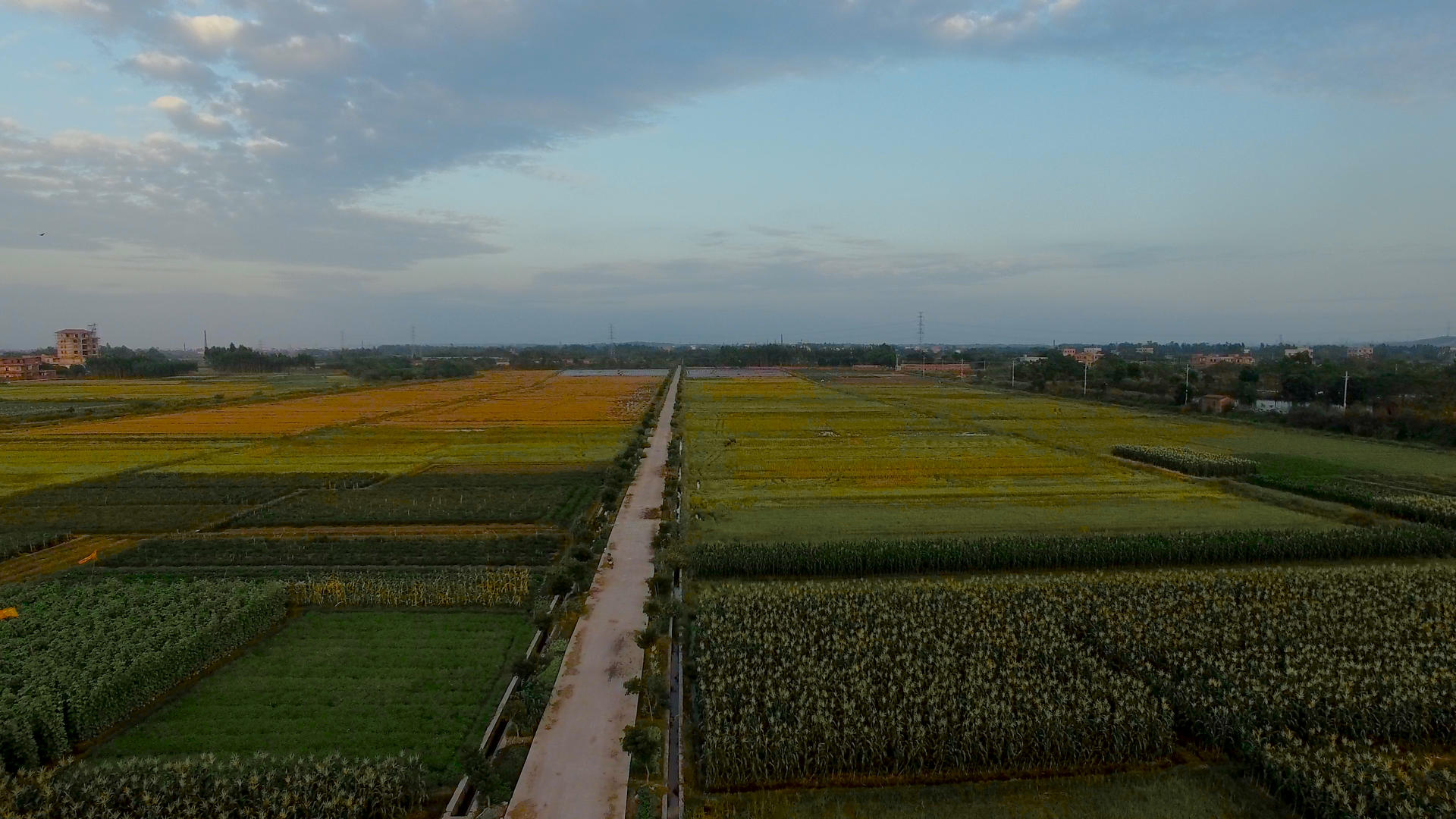 农村种植农产品4K航拍视频的预览图
