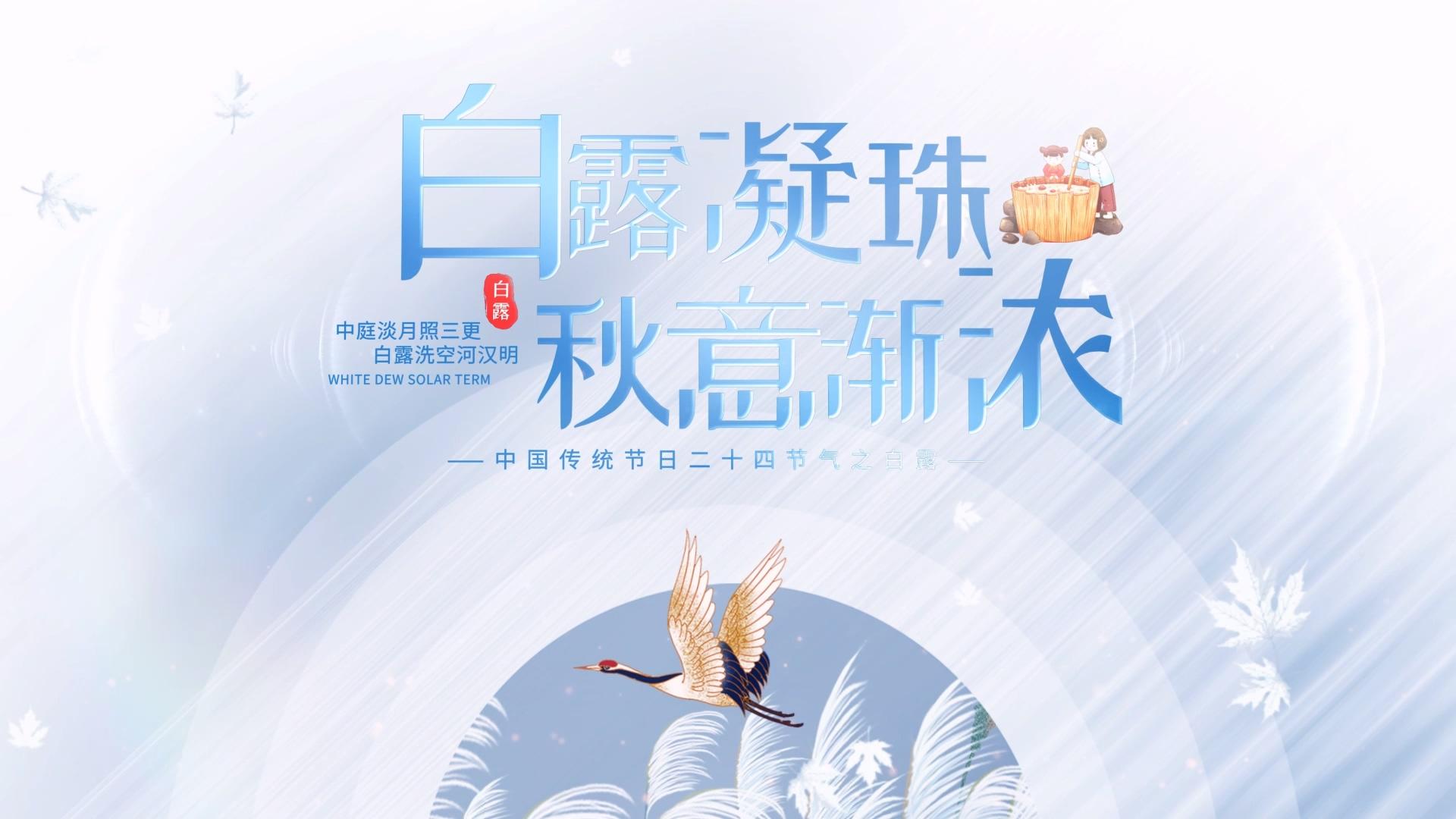 简洁大气中国风白露字幕片头AE模板视频的预览图