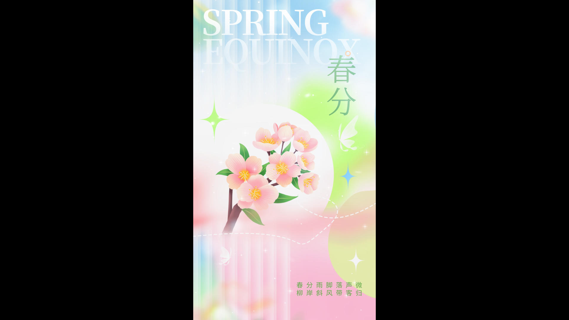 美丽的粉色花朵春分竖版视频海报视频的预览图