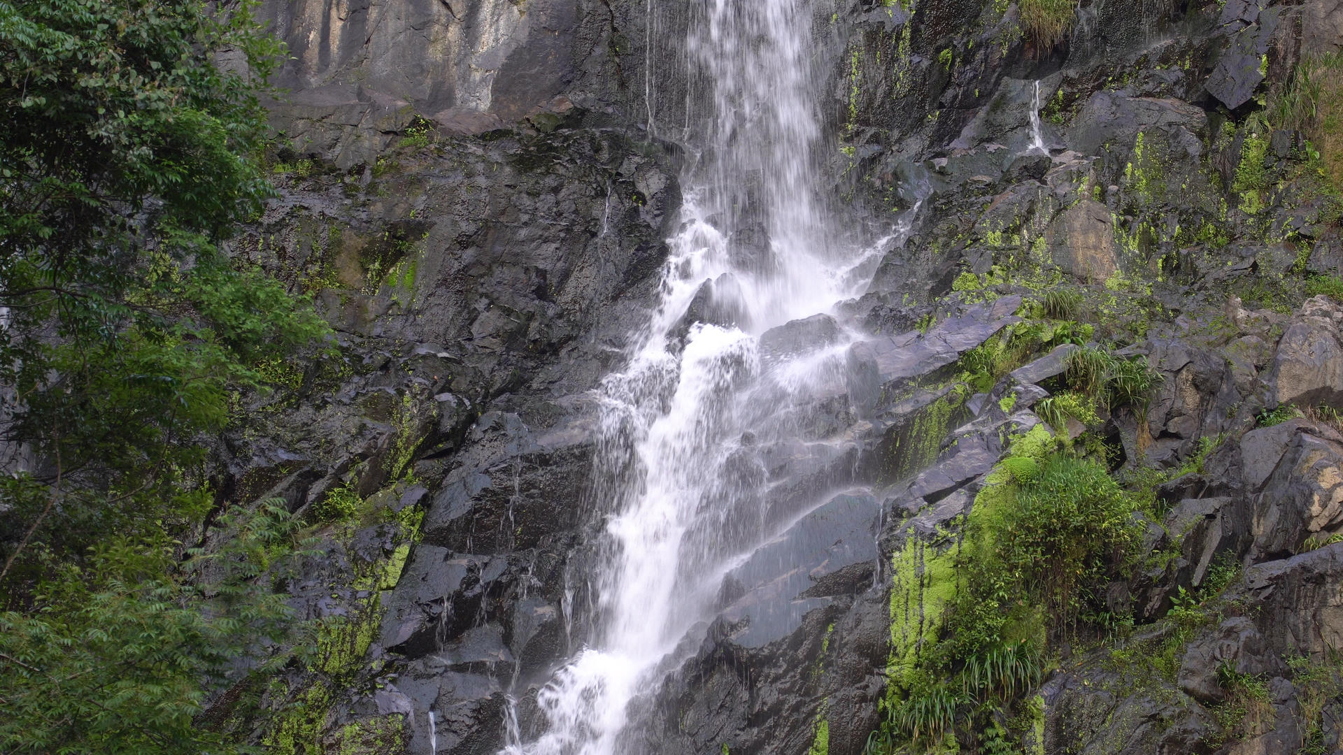 4K实拍山里的水流合集视频的预览图