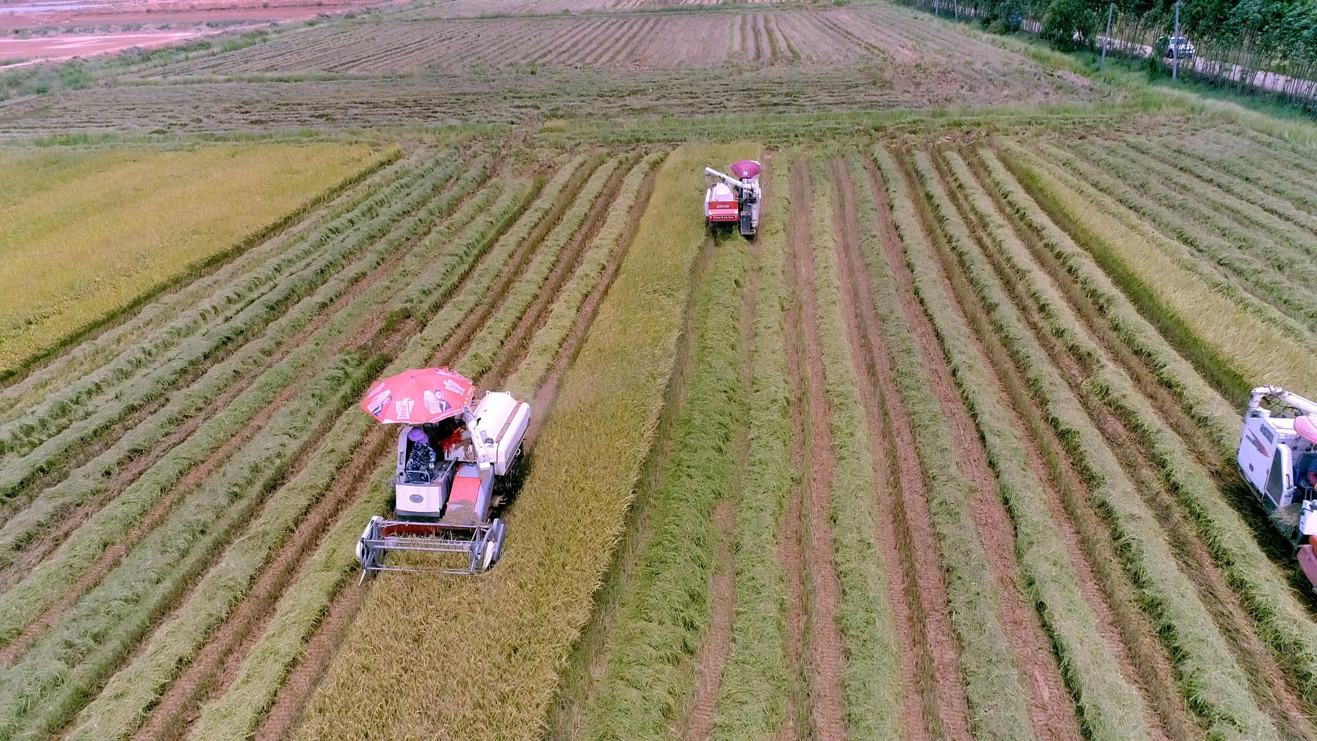 快速收割稻谷科学农作业4K航拍视频的预览图